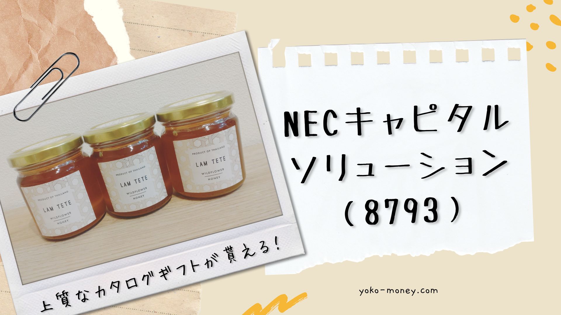 NECキャピタルソリューション（8793）株主優待品到着レポ