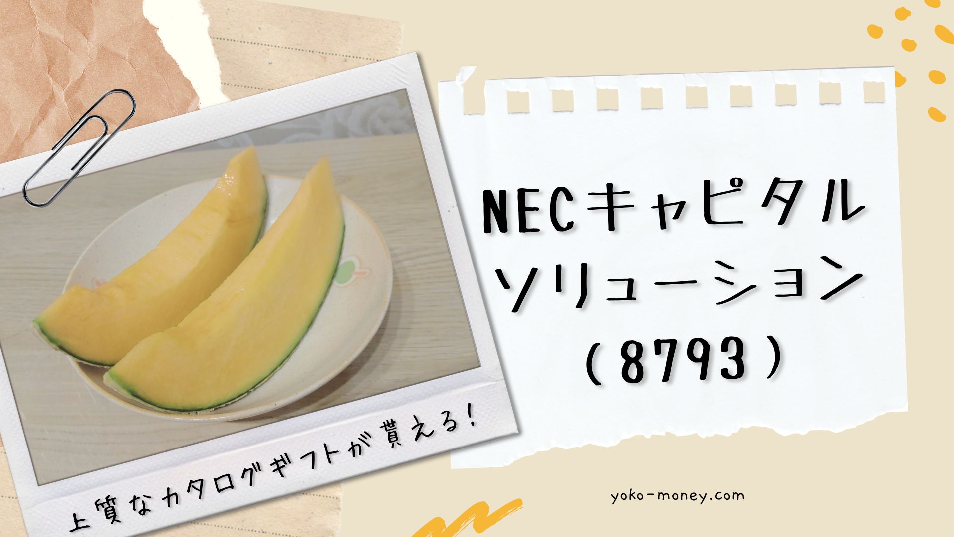 NECキャピタルソリューション（8793）株主優待品到着レポ
