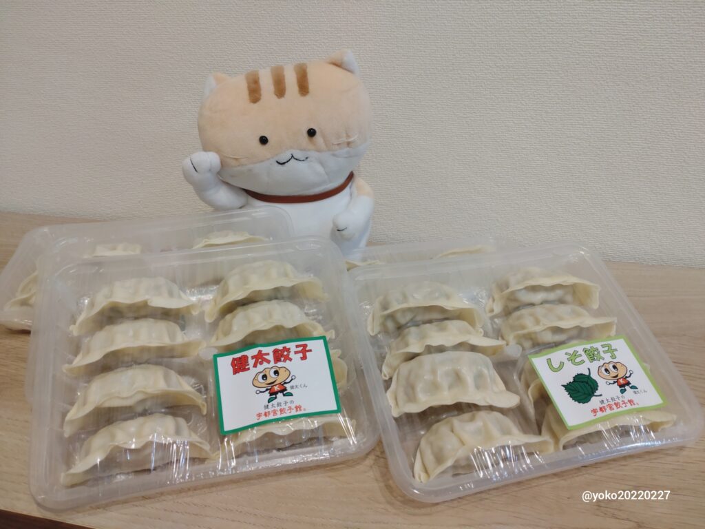 ヨロズ 株主優待 宇都宮餃子